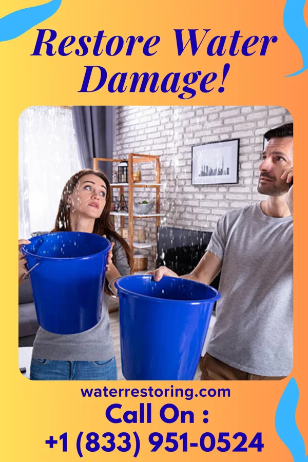 water restoration Pro Restoration & Associates Wedgewood