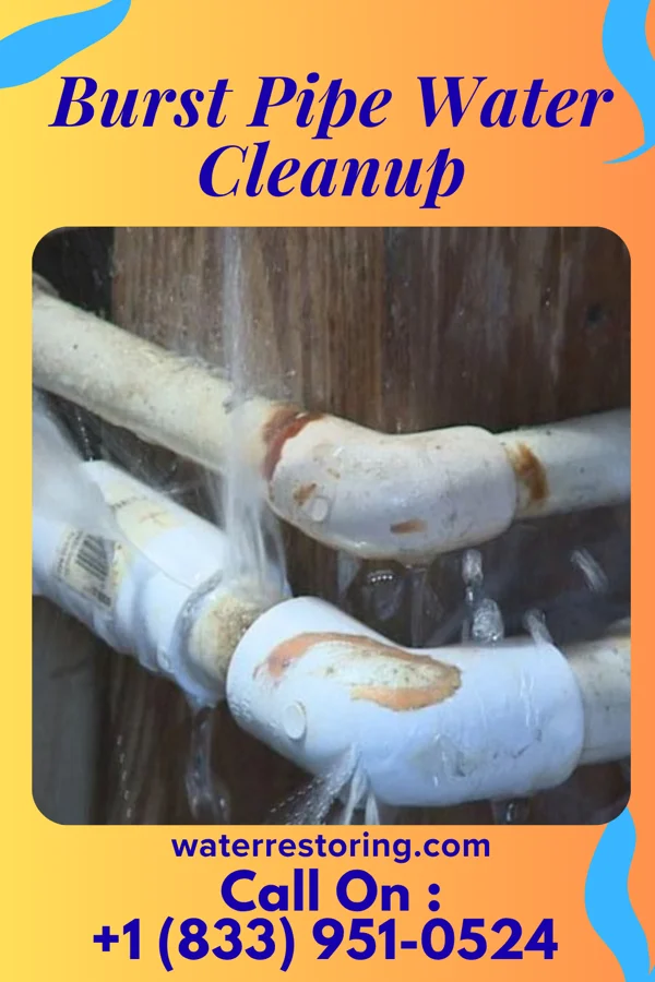 Burst Pipe Water Cleanup in Wedgewood, MI