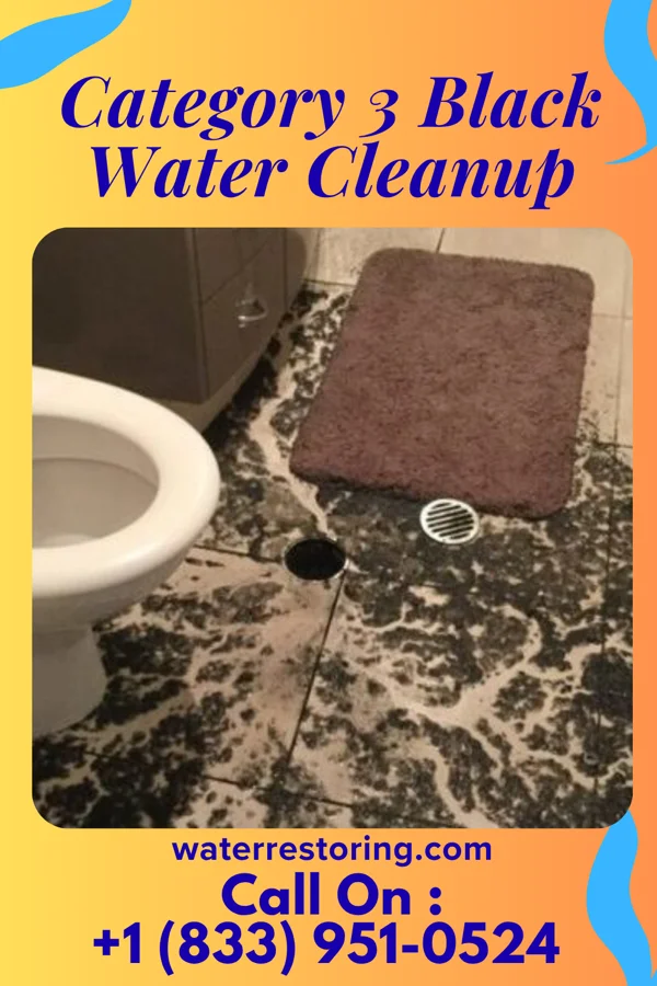 Category 3 Black Water Cleanup in Wedgewood, MI