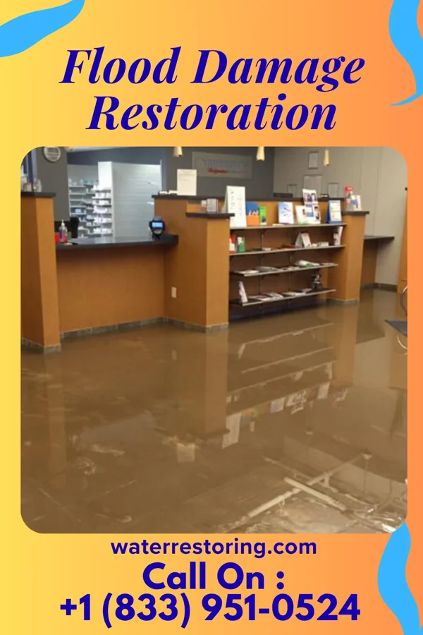 Flood Damage Restoration in Wedgewood, MI