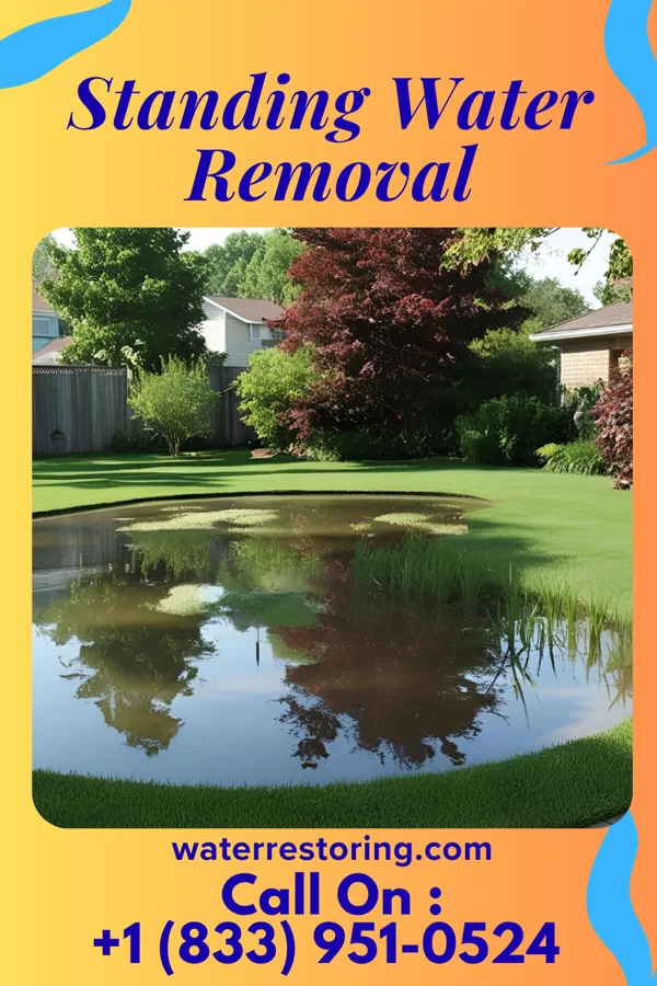 Standing Water Removal in Wedgewood, MI
